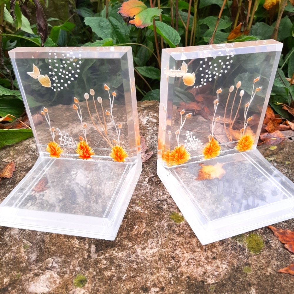 RARE vintage  mcm lucite bookends